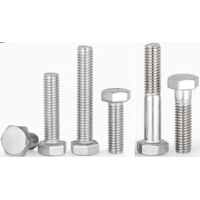 91287A300 | 18-8 Stainless Steel Hex Head Screws | Lily Bearing