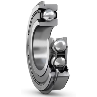 2TS3-6805JRZZNRC4/LY06Q6 Single Row Radial Ball Bearings