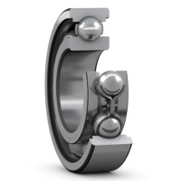 209L Single Row Radial Ball Bearings