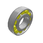 CRL 10 A Single Row Cylindrical Roller Bearings With Inner Ring