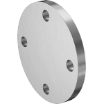 BEECNCD Low-Pressure Stainless Steel Unthreaded Pipe Flanges